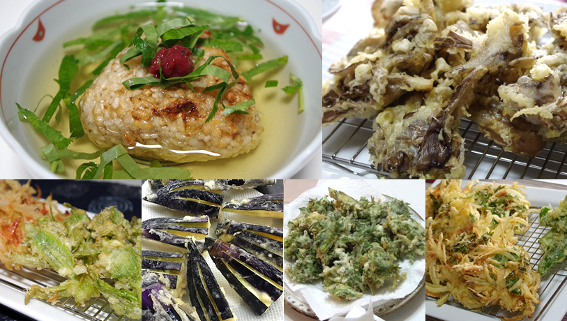 The JAPAN 美味しい出汁教室(昆布・カツオ編)