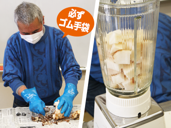 「こんにゃく芋」は生はもちろん、焼いたり茹でたりしても、そのまま食べてはいけません！！ゴム手袋をするなど、約束事を守って、安全に調理しましょう。まずは皮をむいてカク切りにしてミキサーへ。