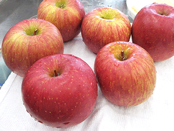旬の『サンふじ』がゴ～ロゴロ♪今月は臼居芳美先生と「りんご」をたっぷりと使ってデザート上級者編「タルトタタン」に挑戦しました。

